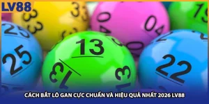 Cách Bắt Lô Gan Cực Chuẩn Và Hiệu Quả Nhất Tại Lv88 2026