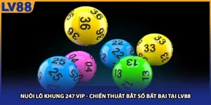 Nuôi Lô Khung 247 Vip - Chiến Thuật Bắt Số Bất Bại Tại Lv88
